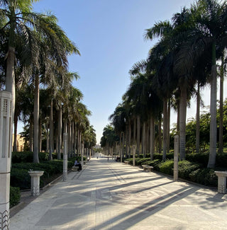 Egyptian Botanicals: Discover the Green Legacy of Al-Azhar Park in Cairo