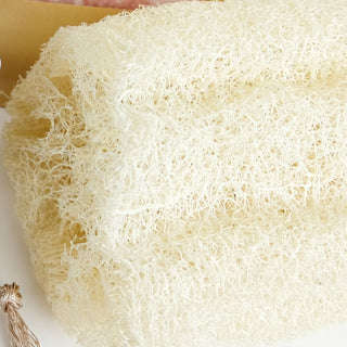 Egyptian Loofah
