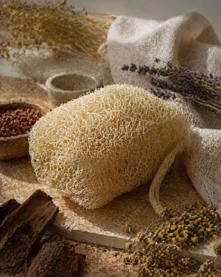 Loofah sponge with herbs and a towel on a wooden surface