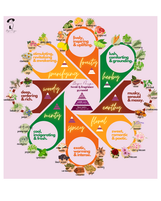 chart for essential oil notes